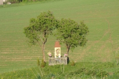 DSC04452