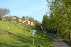DSC04465