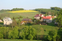 DSC04477
