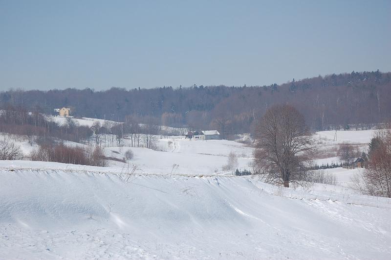 DSC_2480