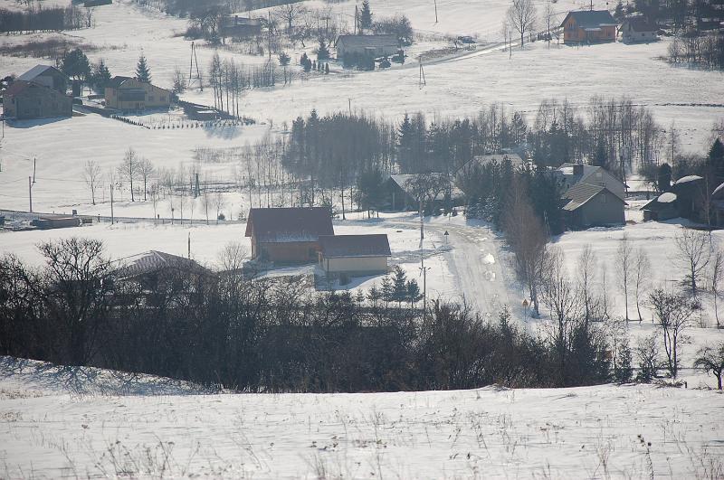 DSC_2592
