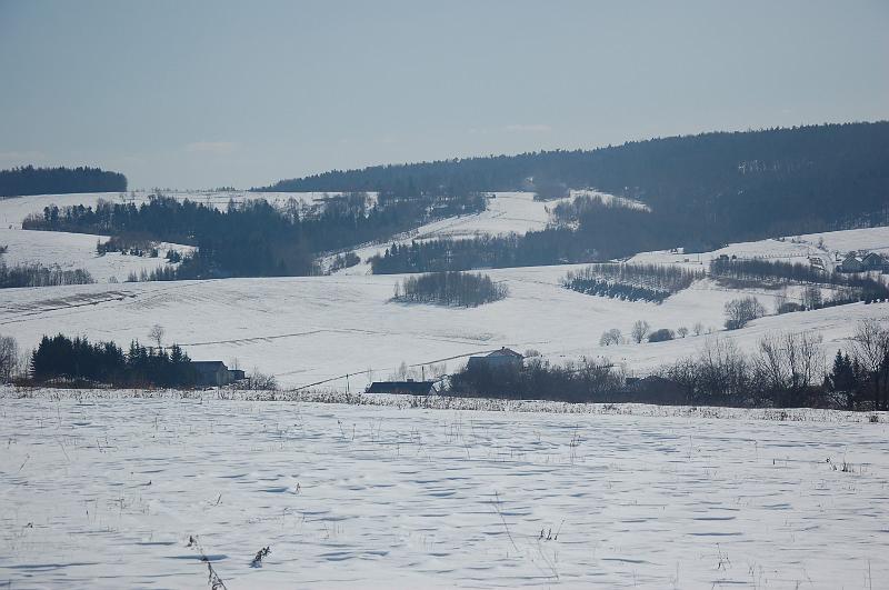 DSC_2604
