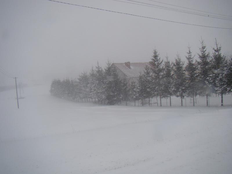 marzec13 025