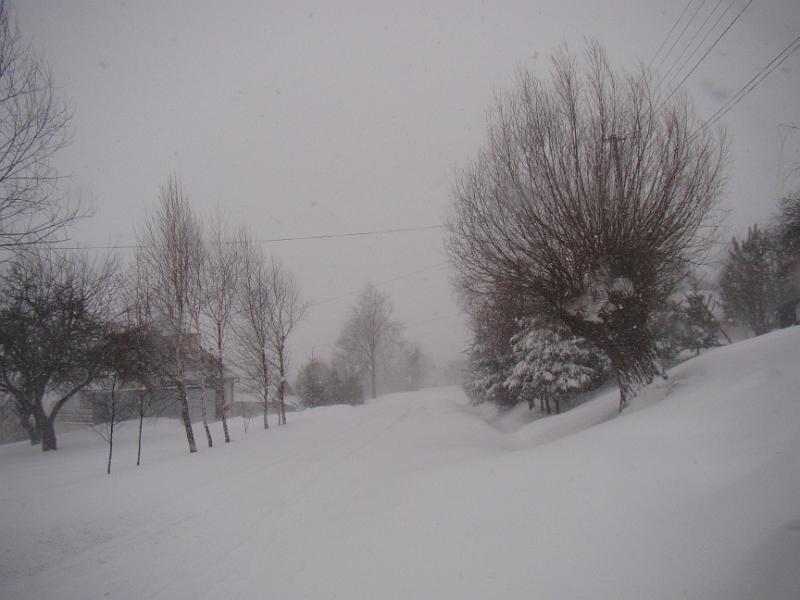 marzec13 030