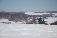 DSC_2535