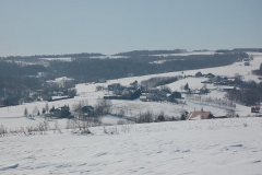 DSC_2541