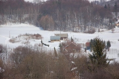 DSC_2556
