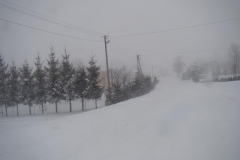 marzec13 024