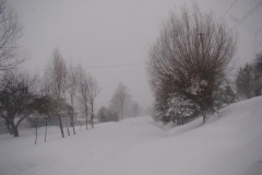 marzec13 030