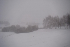 marzec13 031