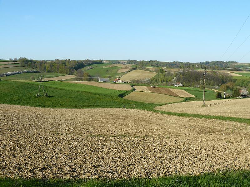 P1000121