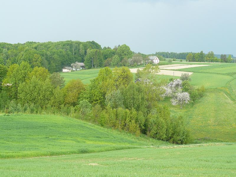 P1000379