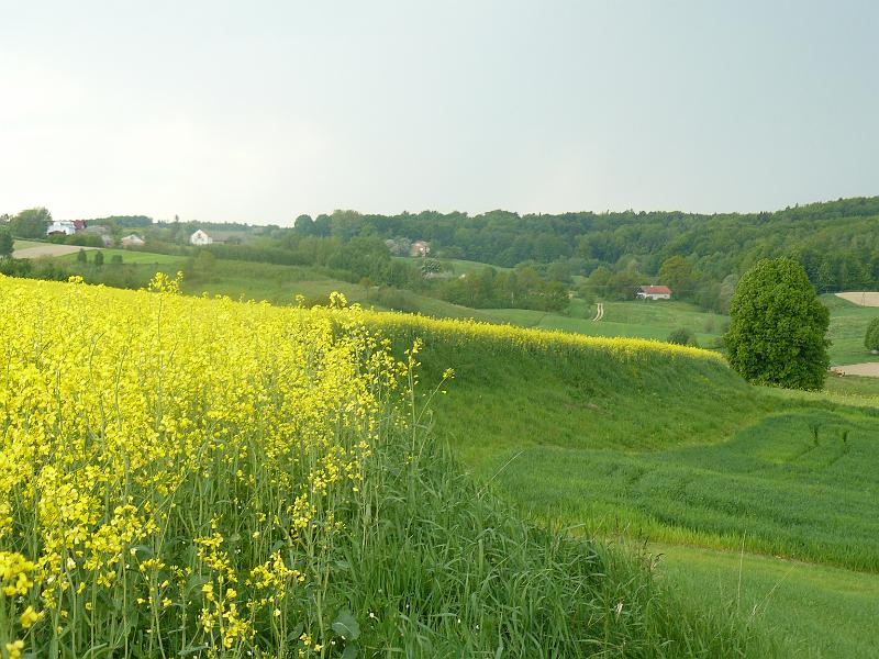 P1000380