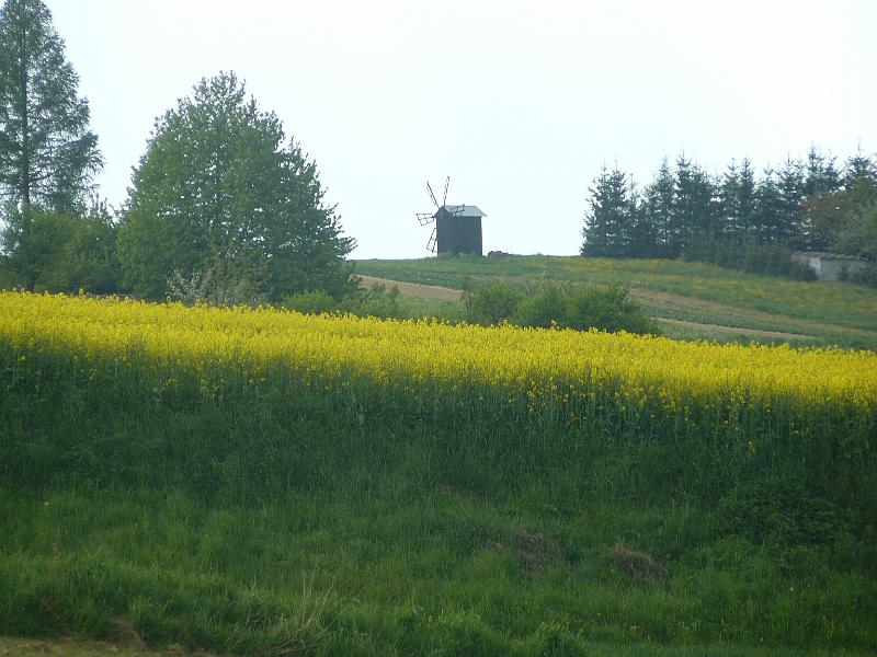 P1000383