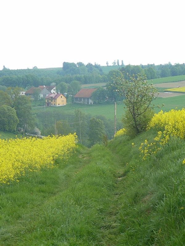 P1000388