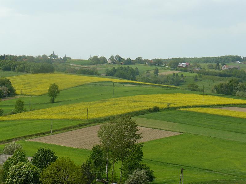 P1000436