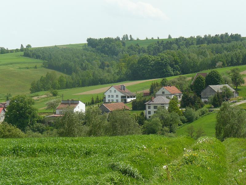 P1000461