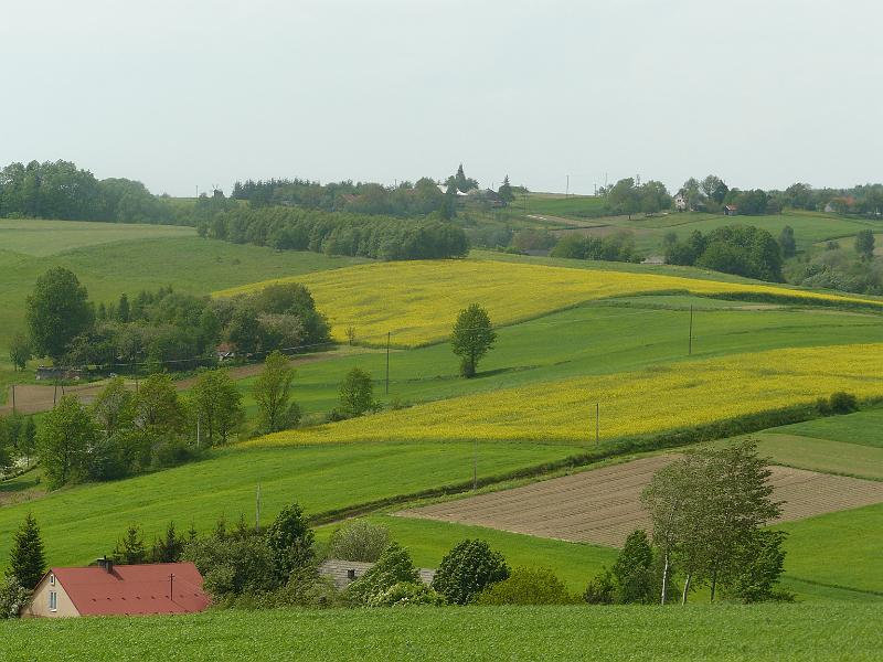 P1000470