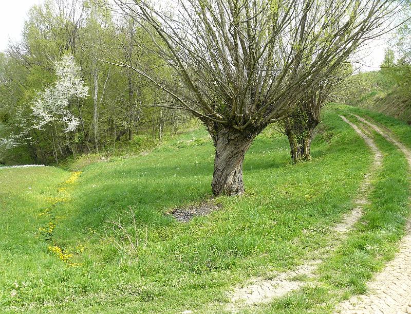kwiecieĹ„08 114