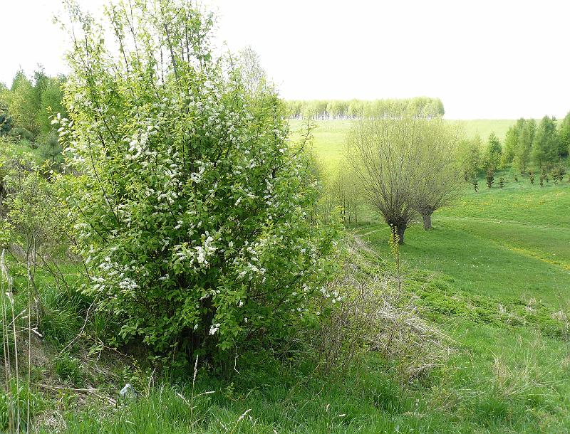 kwiecieĹ„08 118