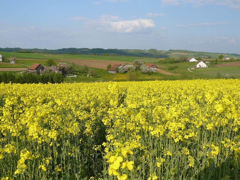 maj08 008
