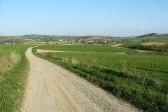 P1000126