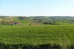 P1000127