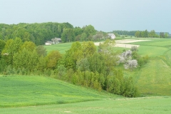 P1000379