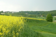 P1000380