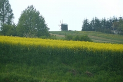 P1000383