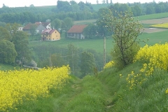 P1000388