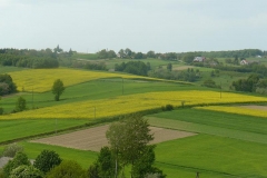 P1000436