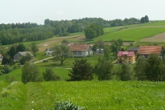 P1000462