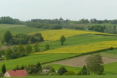 P1000470