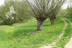 kwiecieĹ„08 114