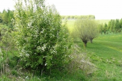 kwiecieĹ„08 118