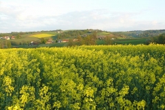 maj08 022