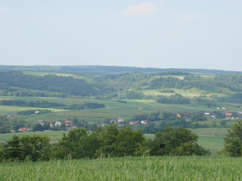 krynica-dzien dziecka12 180