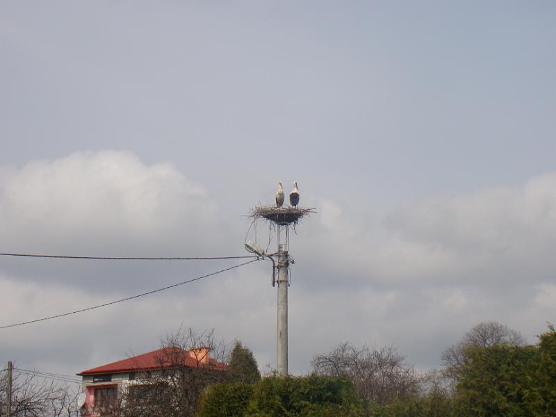 kwiecieĹ„12 043