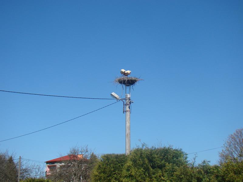 kwiecieĹ„12 105