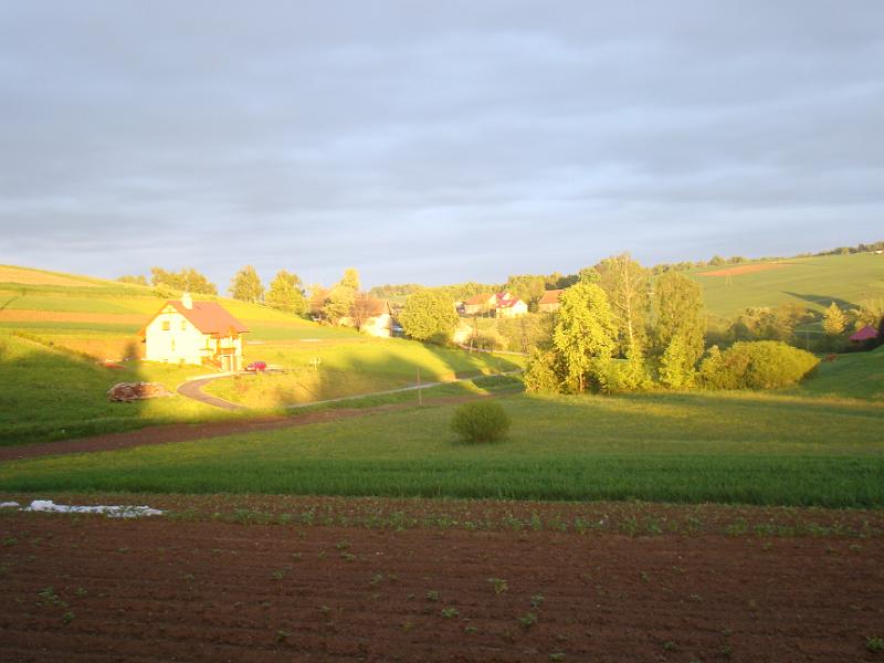 sowy4 004