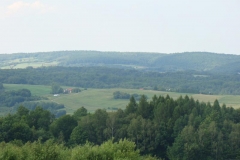 krynica-dzien dziecka12 181