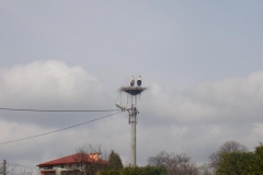 kwiecieĹ„12 043