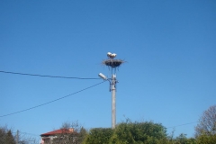 kwiecieĹ„12 105