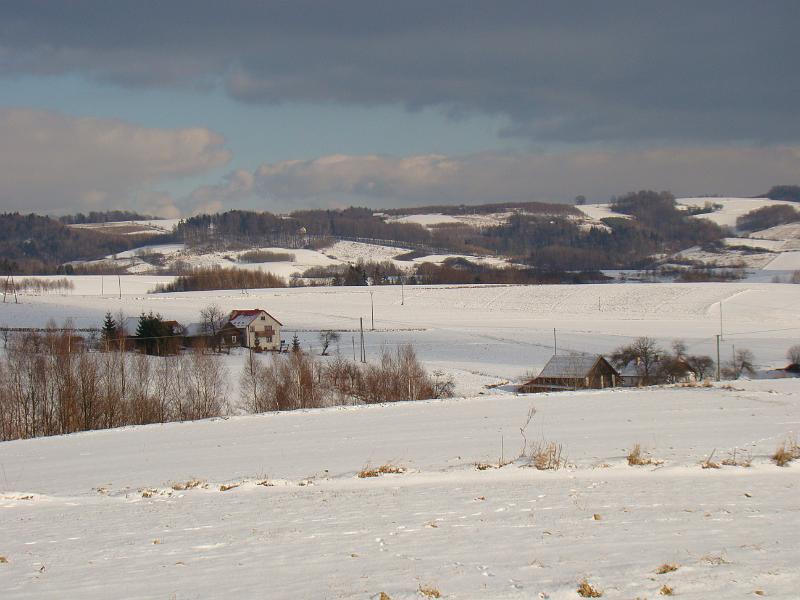 DSC00169