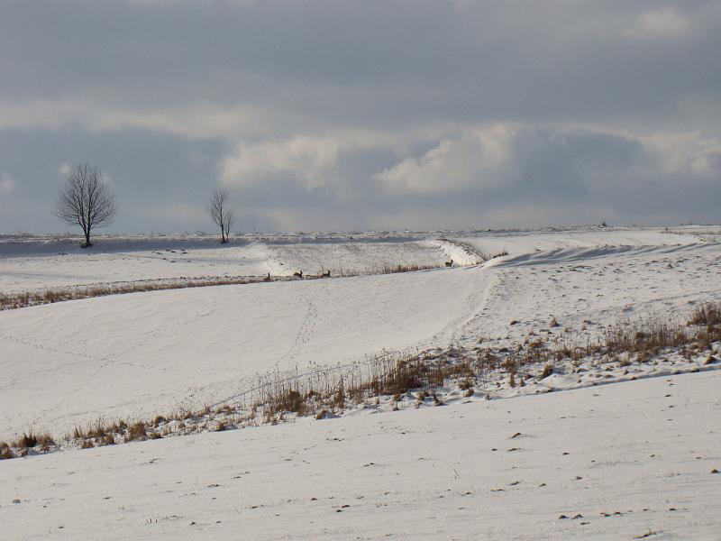 DSC00171
