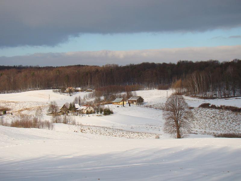 DSC00185