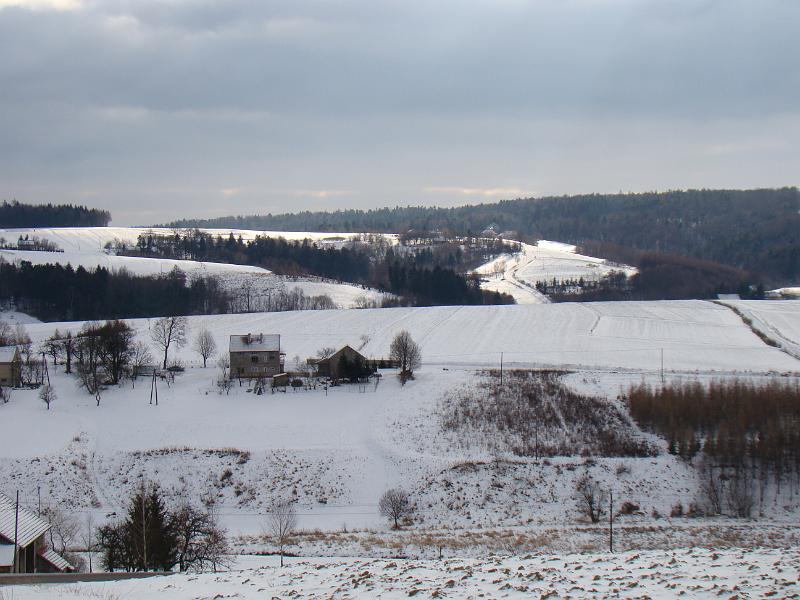 DSC00225