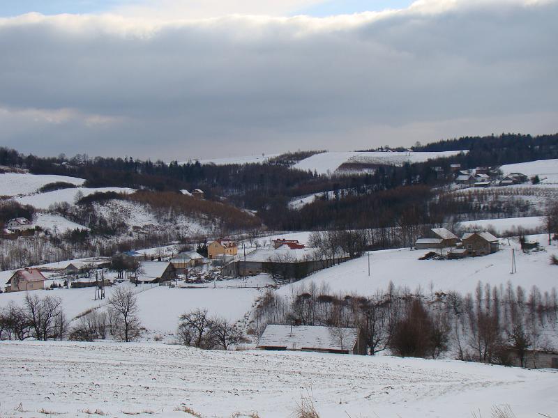 DSC00226