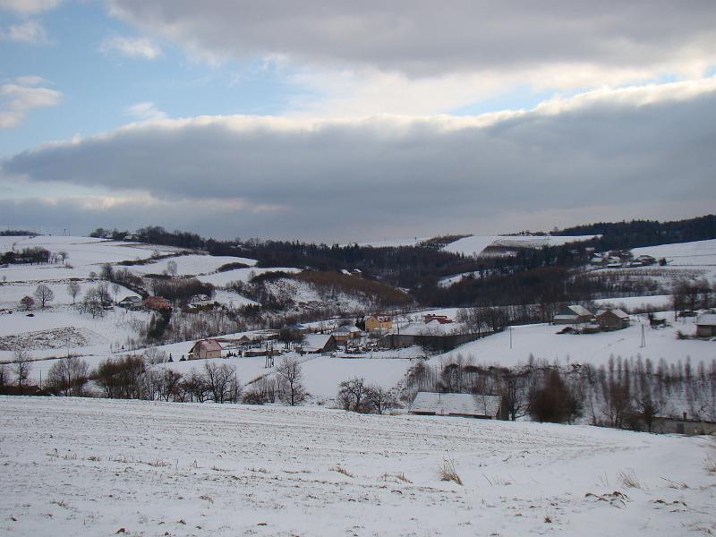 DSC00230